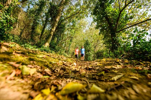 Autumn Walking.jpg