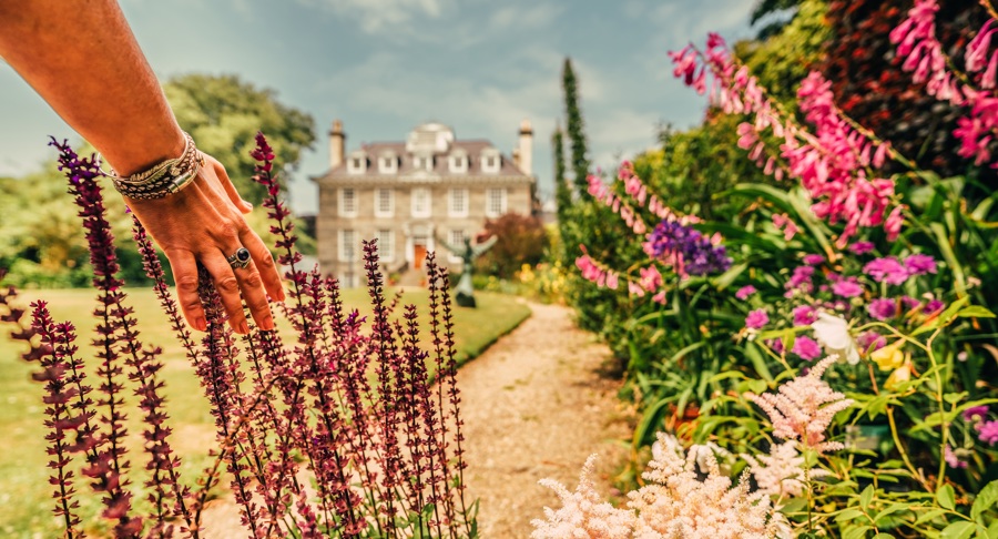 saumarez-manor-flowers.jpeg