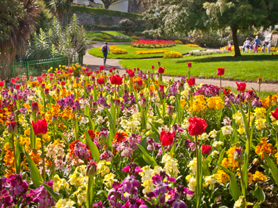 20 March trade update